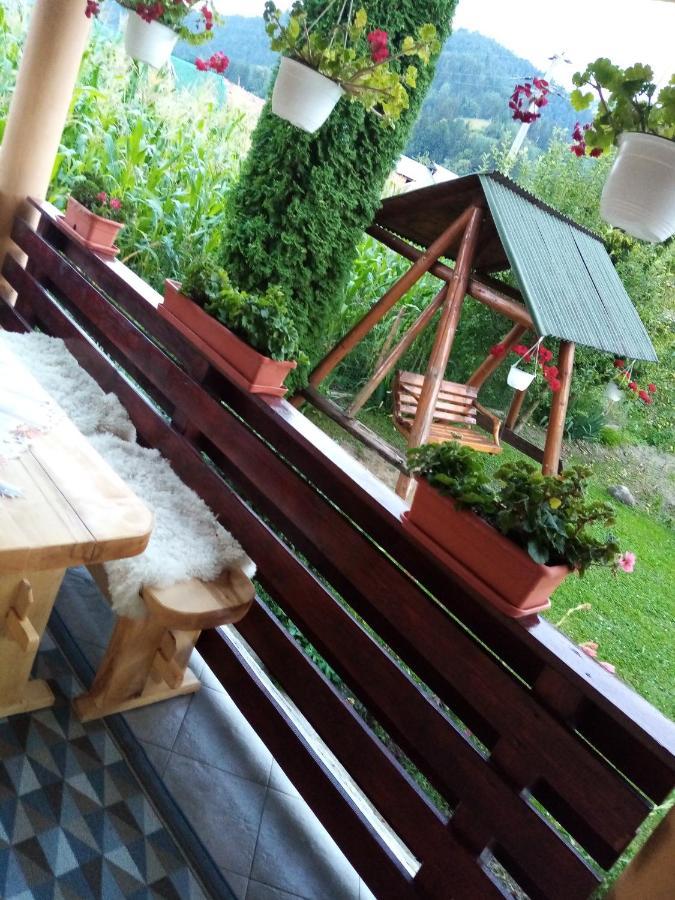 Casa Prundari Nicu Si Mirela Otel Poiana Teiului Dış mekan fotoğraf