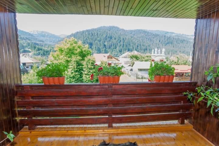 Casa Prundari Nicu Si Mirela Otel Poiana Teiului Dış mekan fotoğraf