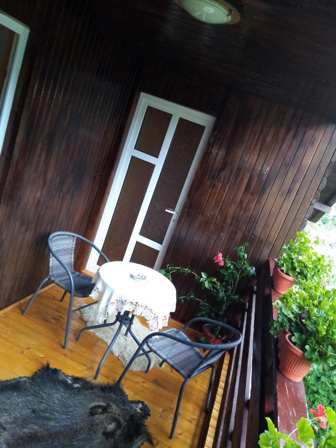 Casa Prundari Nicu Si Mirela Otel Poiana Teiului Dış mekan fotoğraf