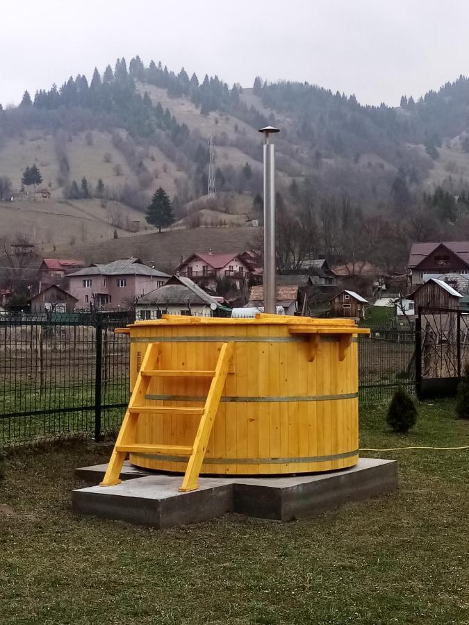 Casa Prundari Nicu Si Mirela Otel Poiana Teiului Dış mekan fotoğraf