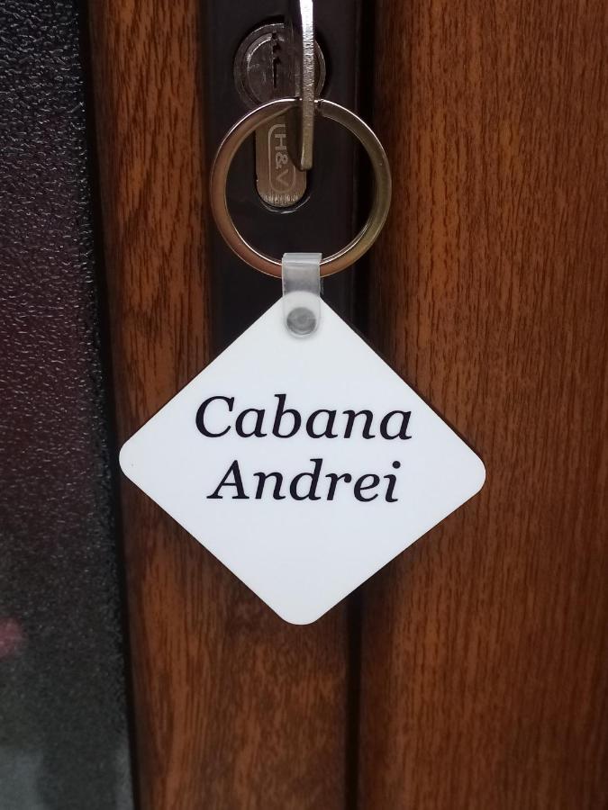 Casa Prundari Nicu Si Mirela Otel Poiana Teiului Dış mekan fotoğraf