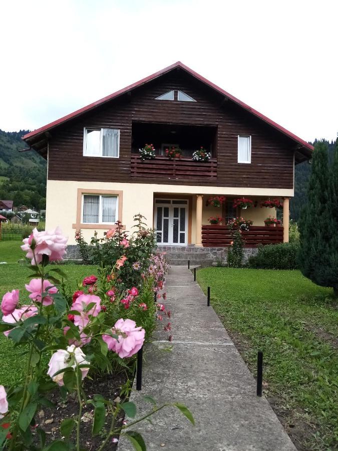 Casa Prundari Nicu Si Mirela Otel Poiana Teiului Dış mekan fotoğraf