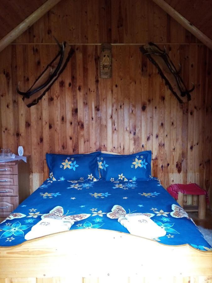 Casa Prundari Nicu Si Mirela Otel Poiana Teiului Dış mekan fotoğraf