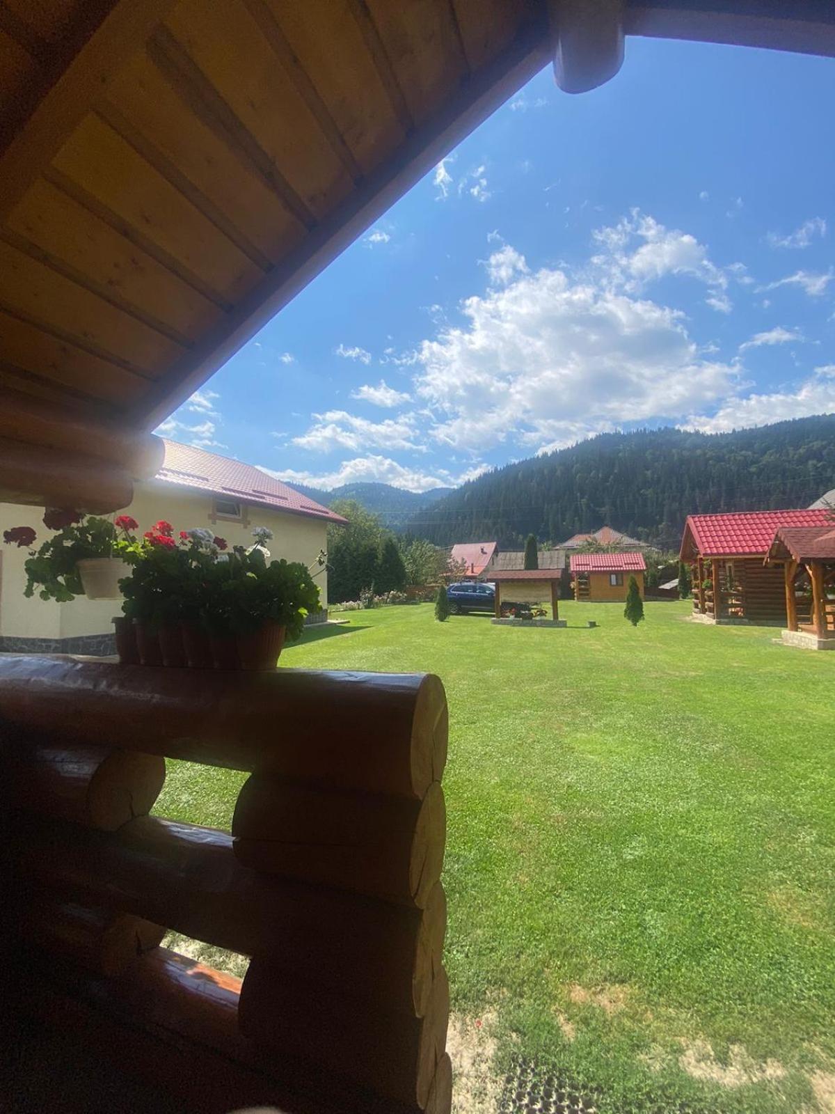 Casa Prundari Nicu Si Mirela Otel Poiana Teiului Dış mekan fotoğraf